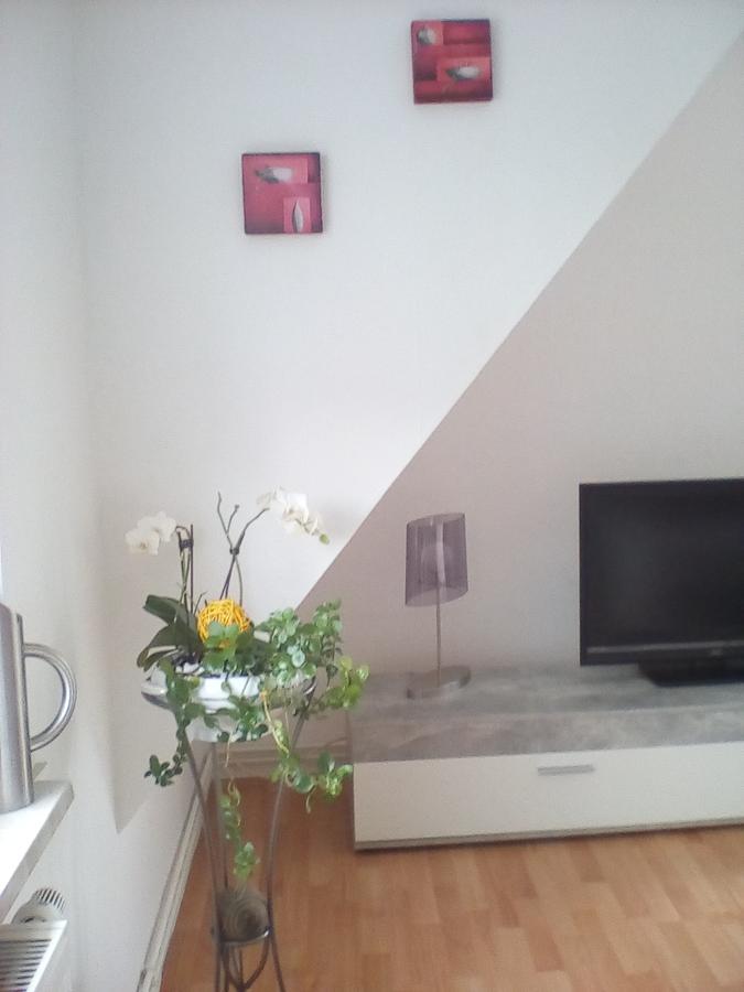 Ferienwohnung Am Geiersberg Walkenried Exteriér fotografie