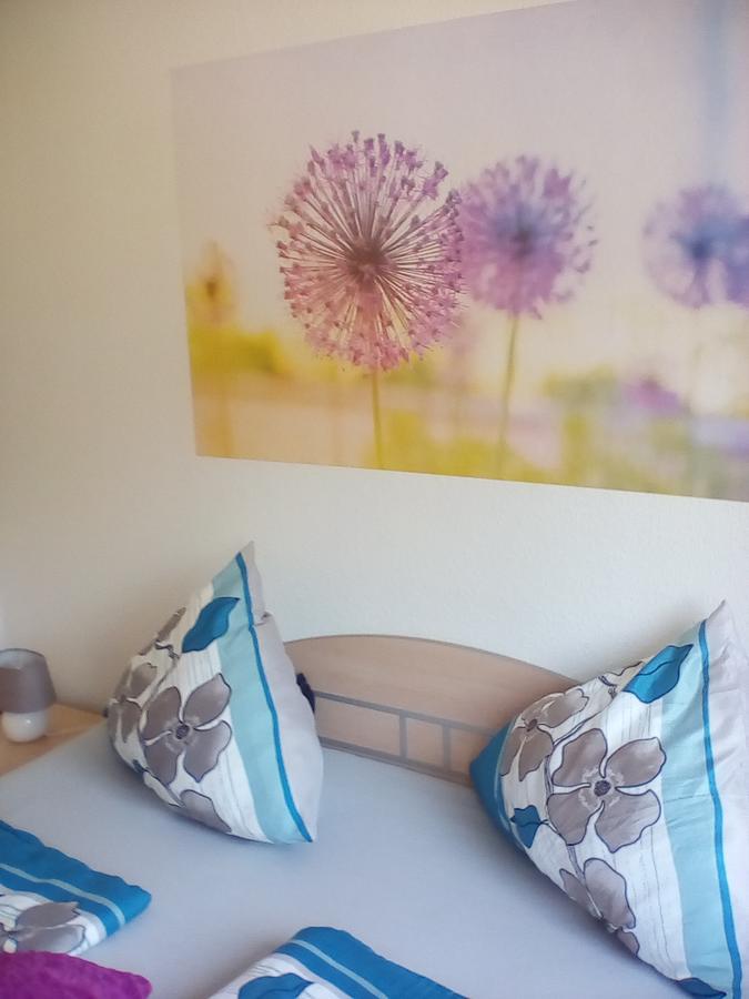 Ferienwohnung Am Geiersberg Walkenried Exteriér fotografie