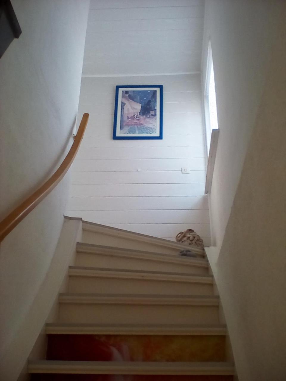 Ferienwohnung Am Geiersberg Walkenried Exteriér fotografie